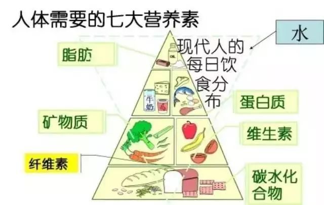 花費3萬塊找營養師咨詢減肥，梳理出的精華內容都在這里！減肥必看！